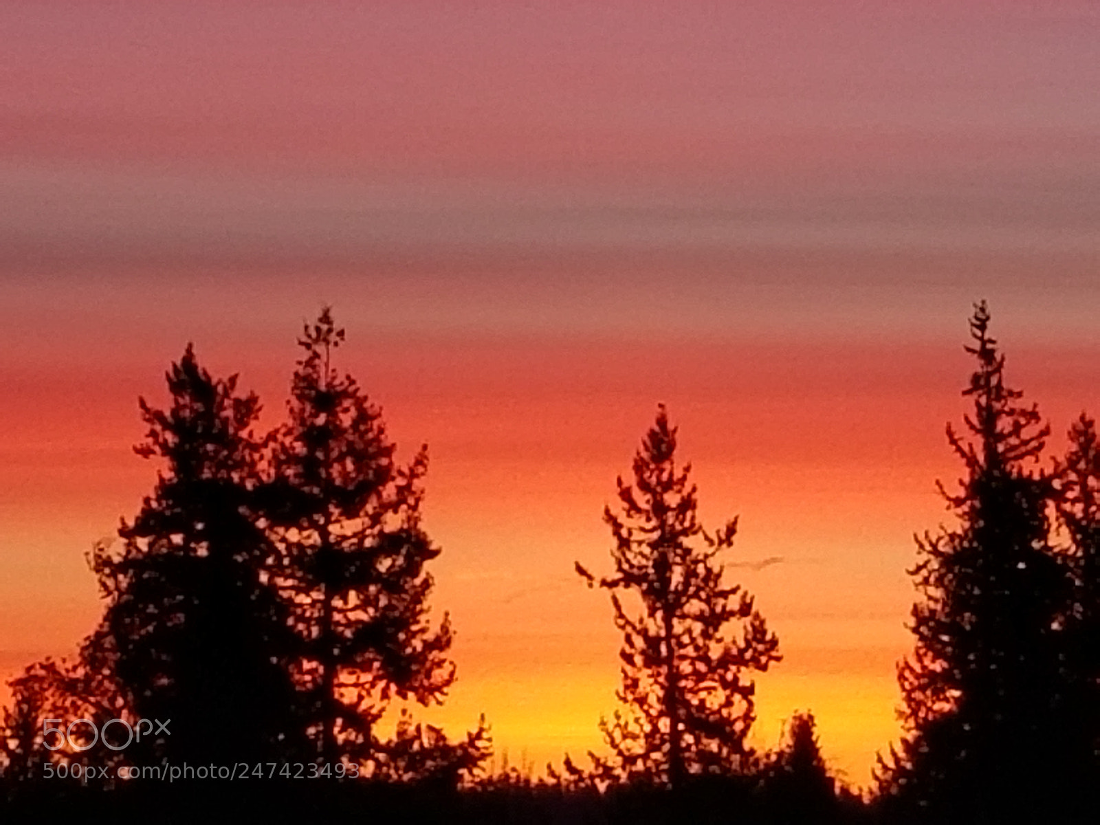 Samsung Galaxy S8 sample photo. Dusk in february photography