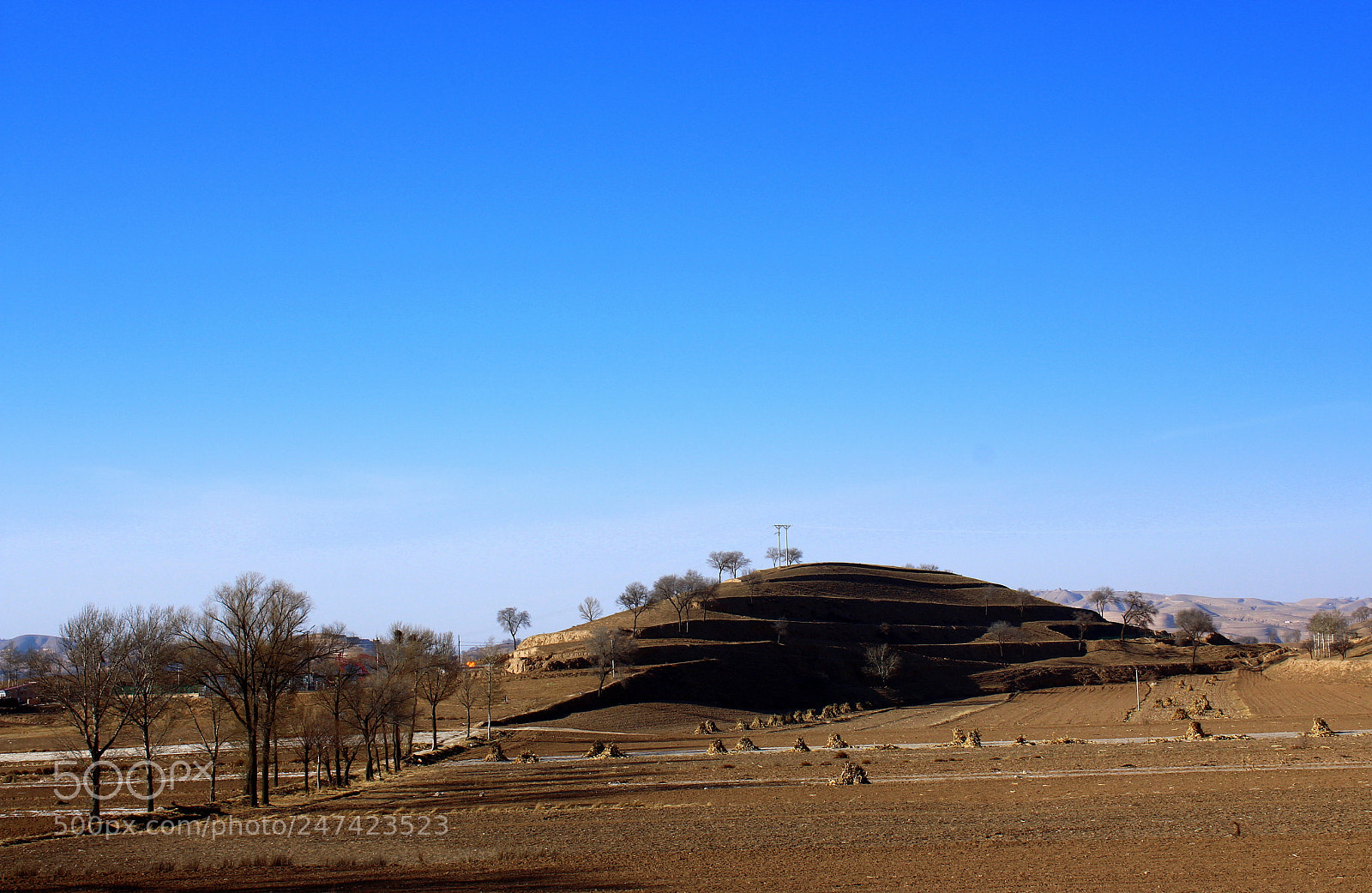 Canon EF-S 18-55mm F3.5-5.6 III sample photo. Untitled photography