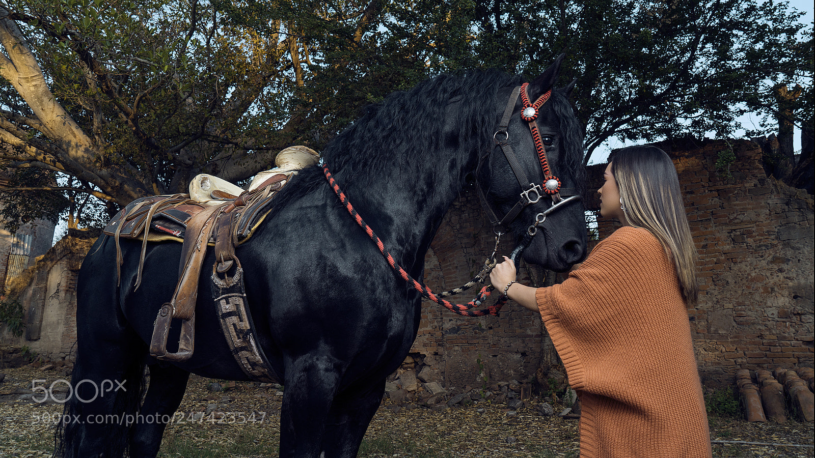 Sony a7R II sample photo. My friend the dark photography
