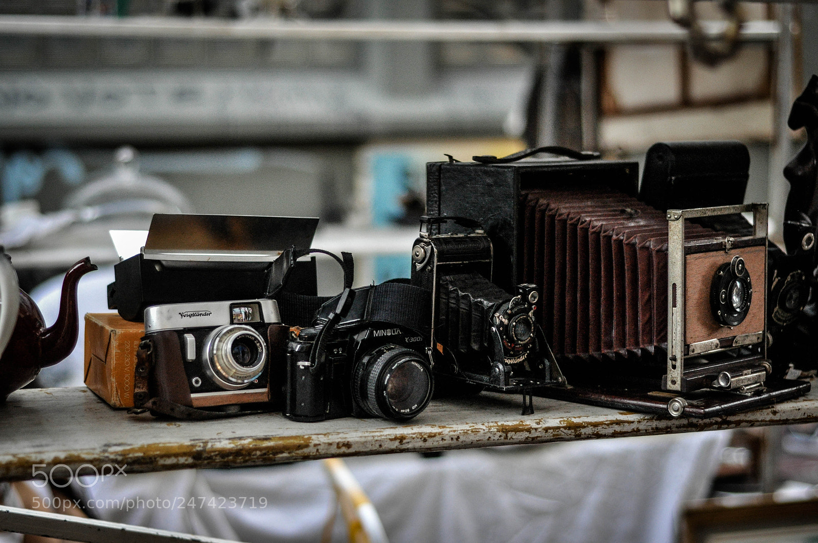 Nikon D90 sample photo. Untitled photography