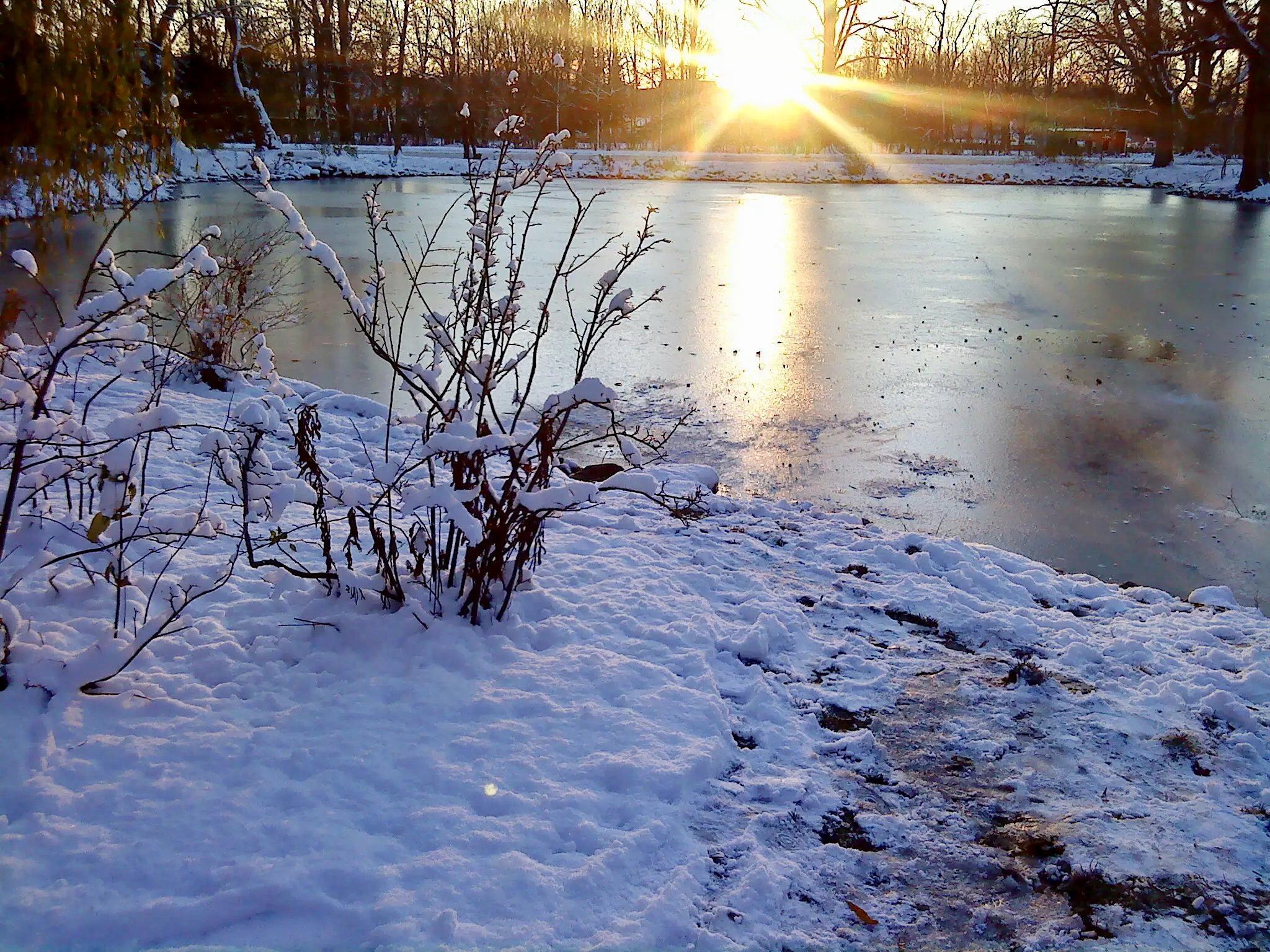 Sony Ericsson W890i sample photo. Winter in lund, sweden photography