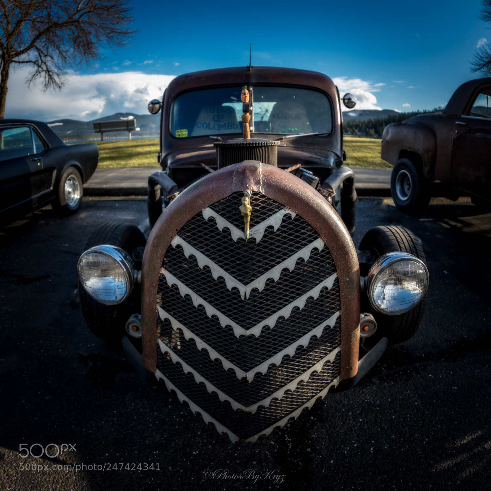 Canon EOS 5DS sample photo. Olympic peninsula rat racers 2 photography