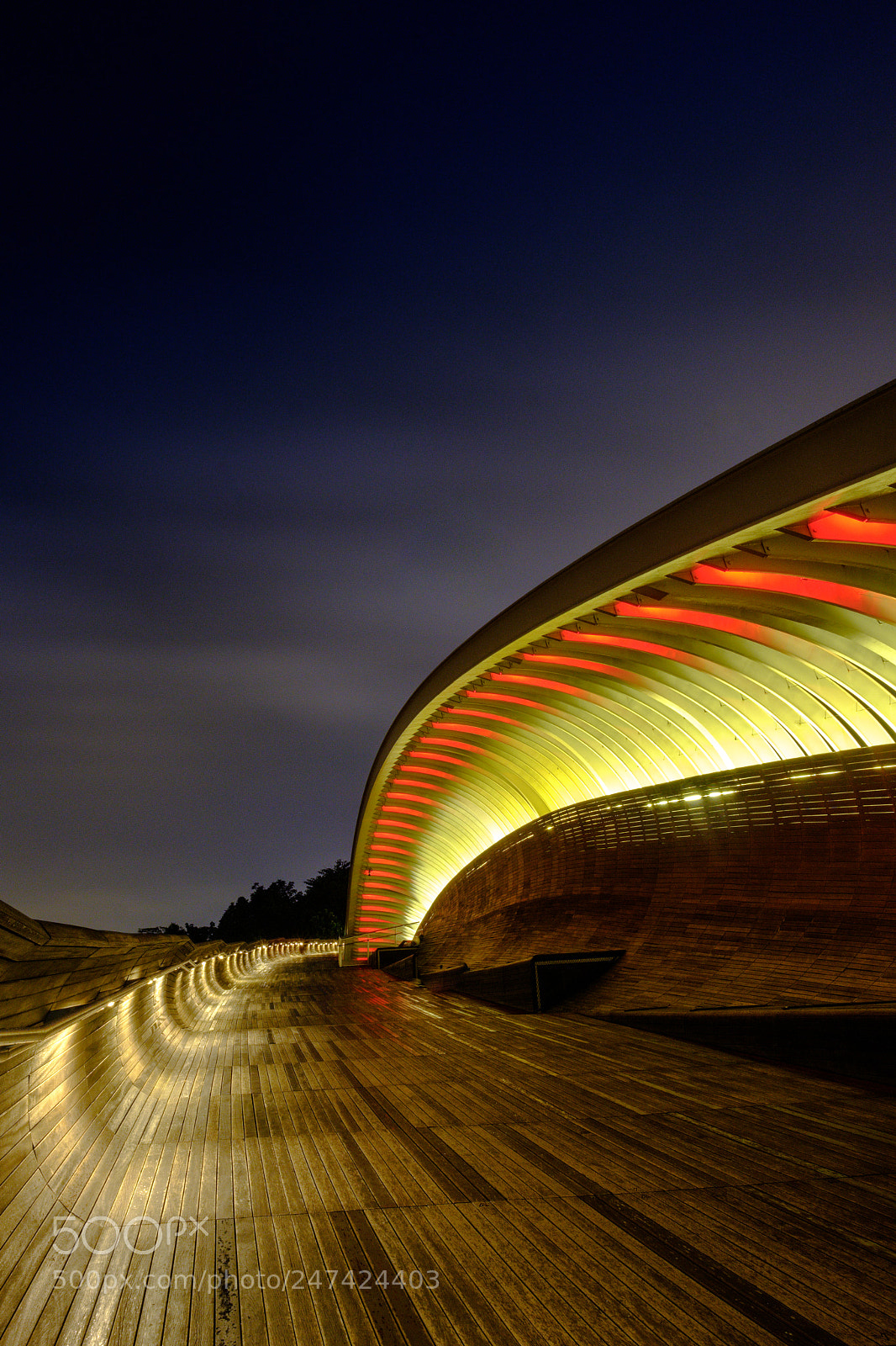 Fujifilm X-T2 sample photo. Henderson waves bridge at photography