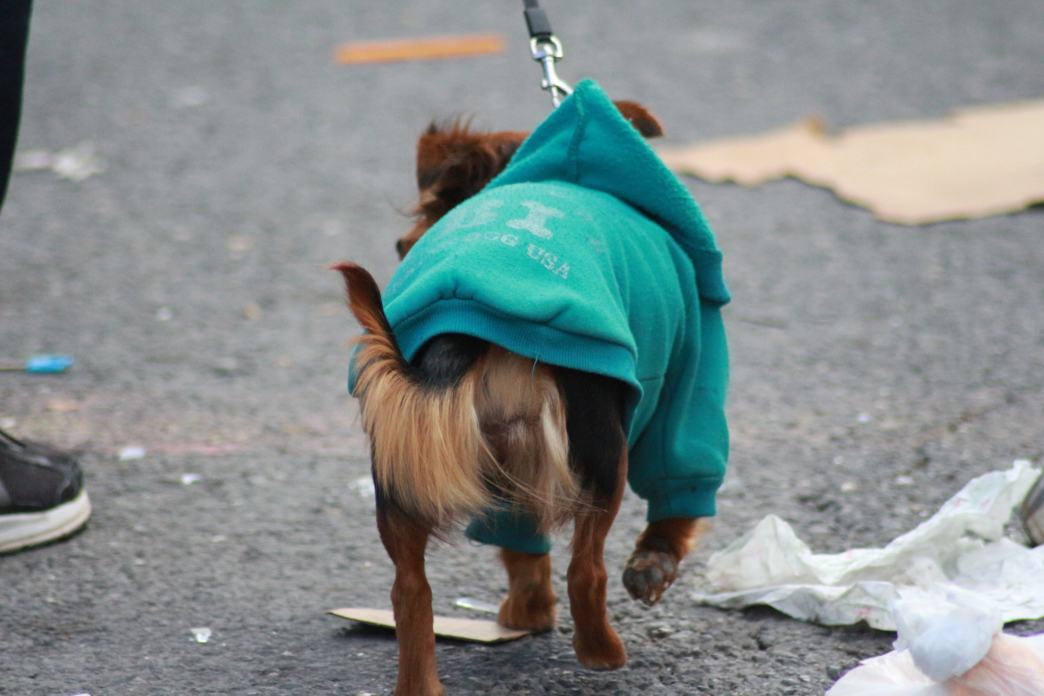 Canon EOS 700D (EOS Rebel T5i / EOS Kiss X7i) sample photo. Walk photography