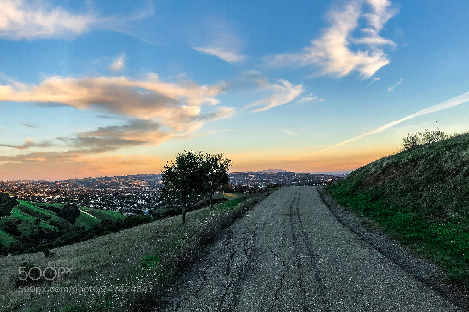 Apple iPhone 8 Plus sample photo. Stairway to heaven photography
