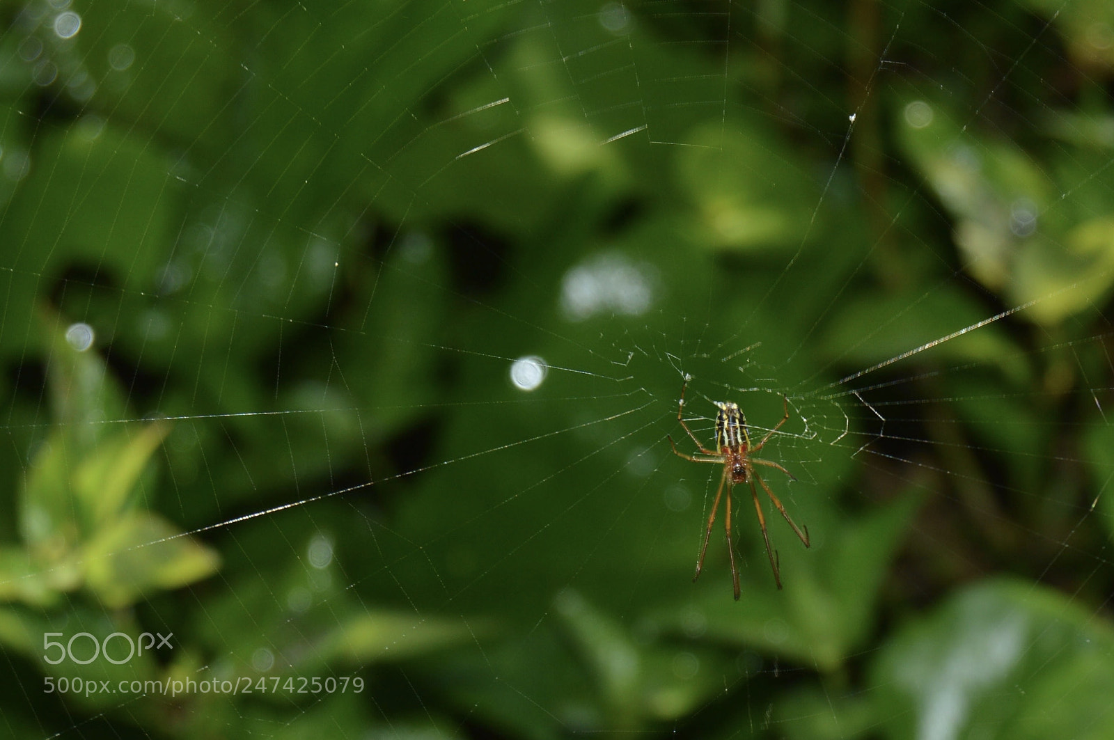 Nikon D3200 sample photo. Untitled photography