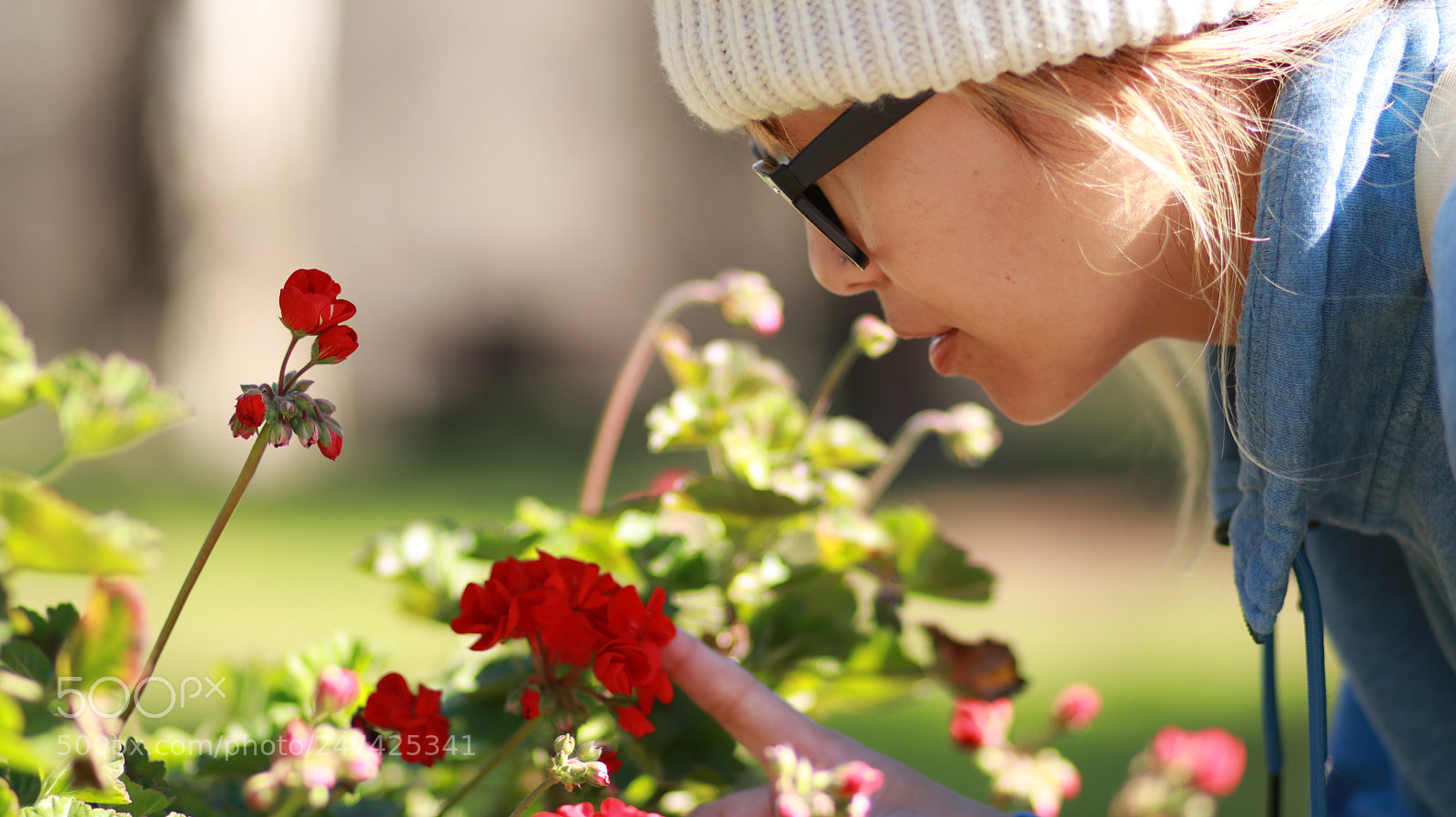 Canon EOS 80D sample photo. A rose by any photography