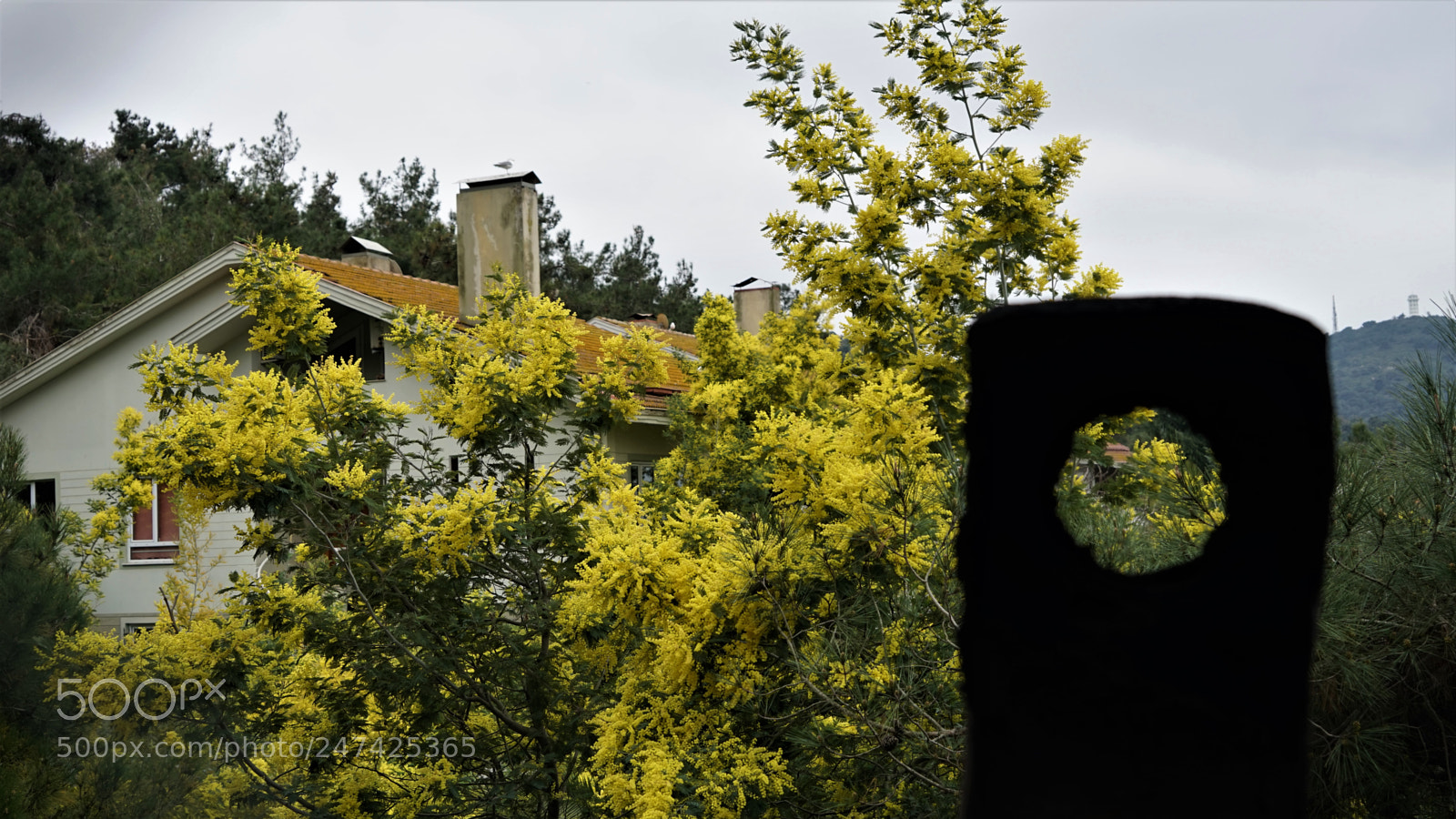 Sony a7 sample photo. Ilkbaharın gelişi photography