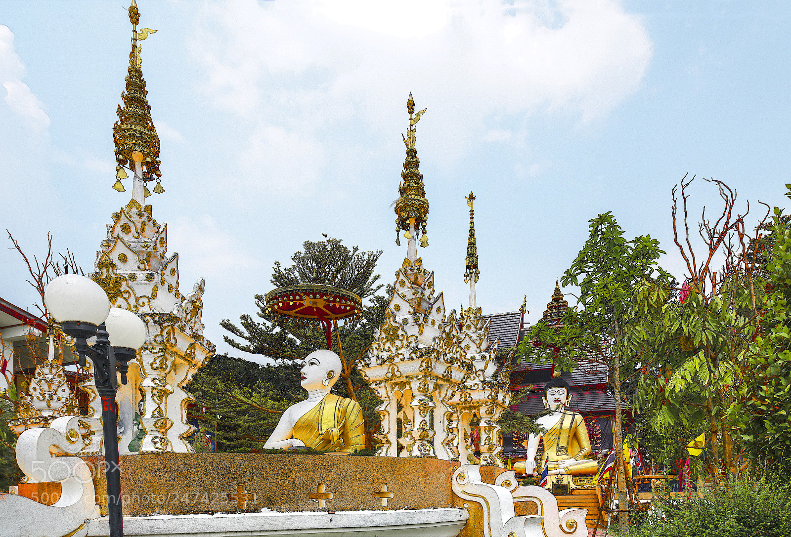Nikon D850 sample photo. Wat san pu loei photography