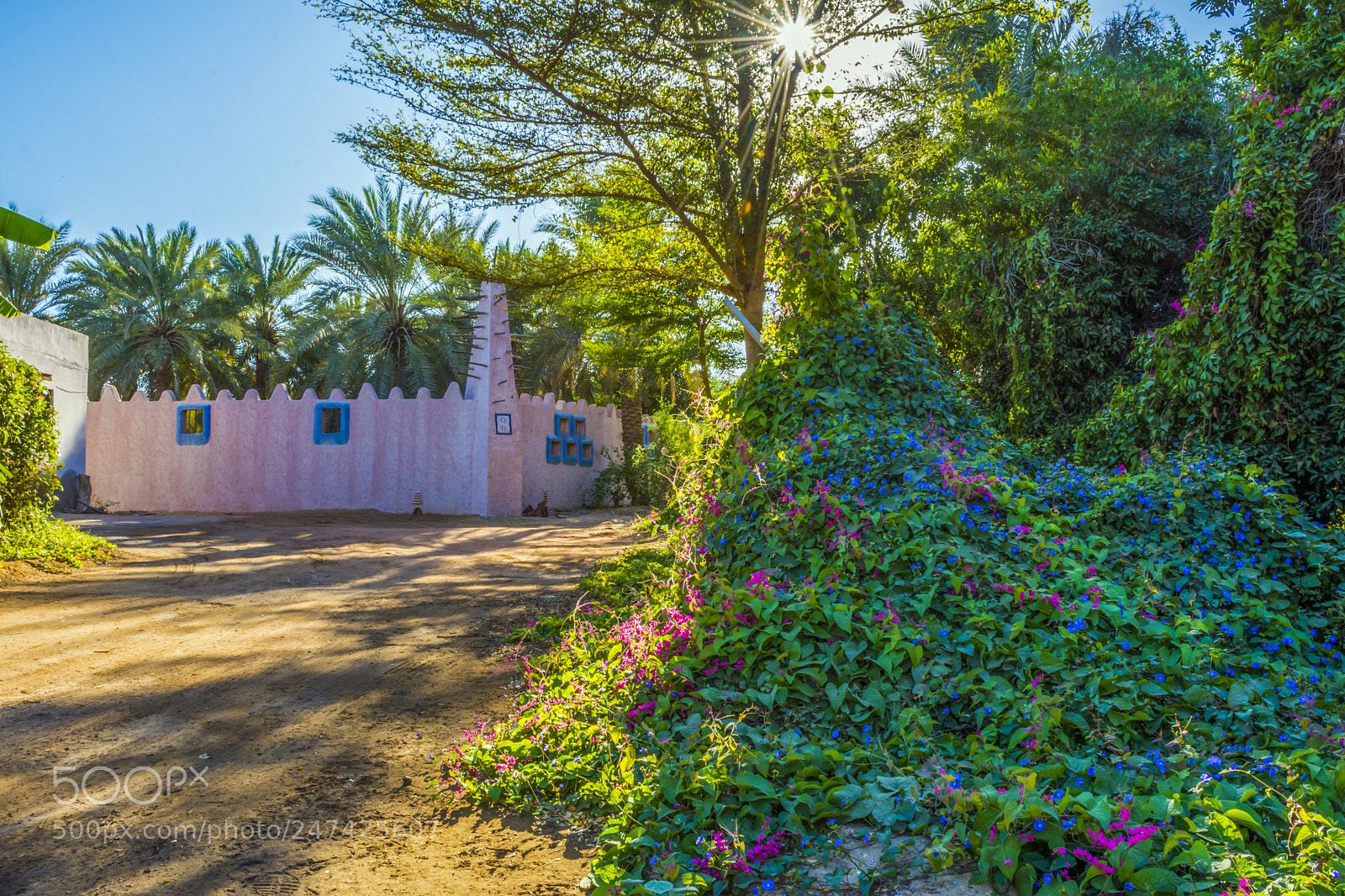Nikon D7100 sample photo. Spring time photography