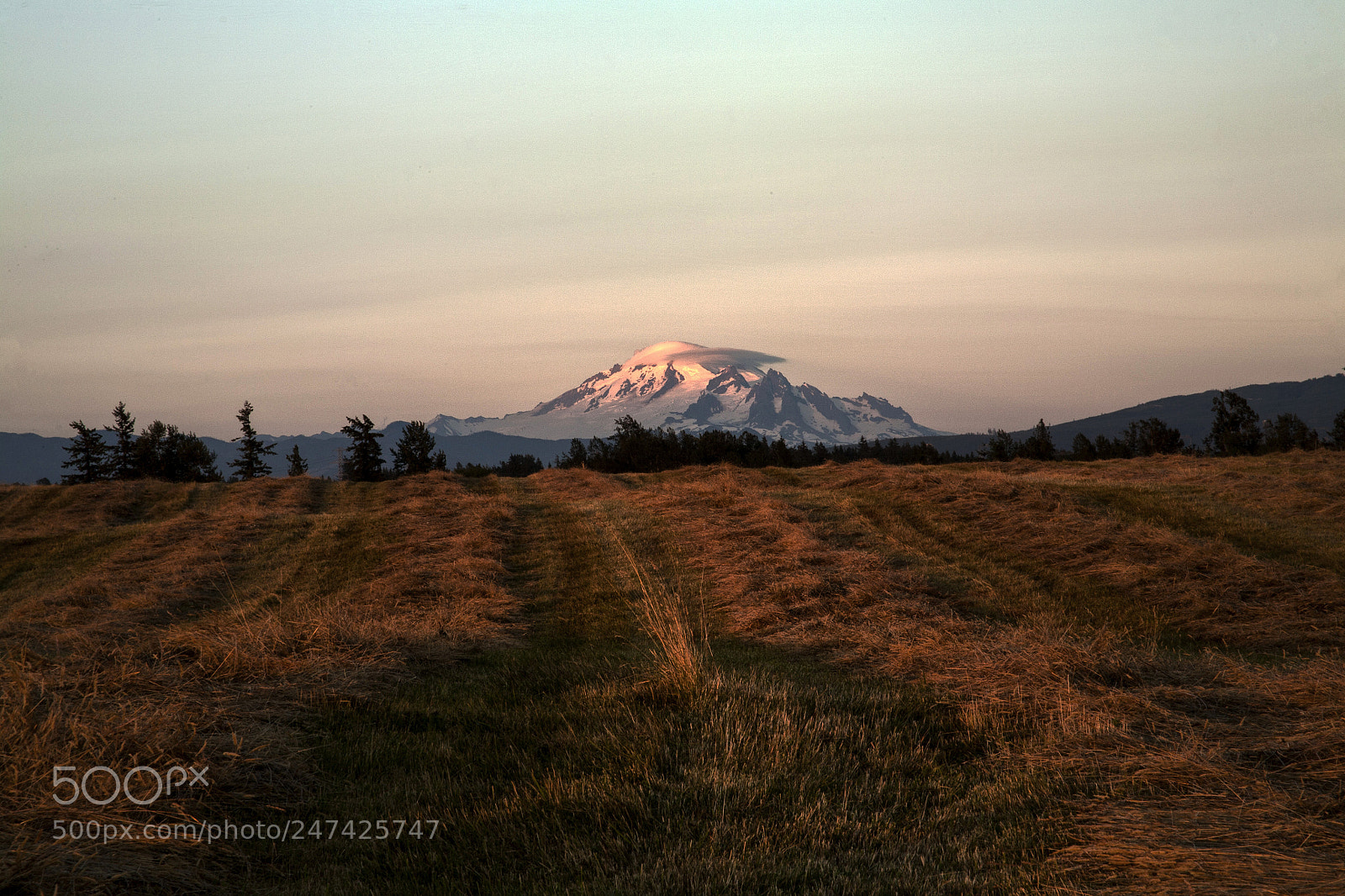Canon EOS 5D sample photo. Mt baker, washington photography