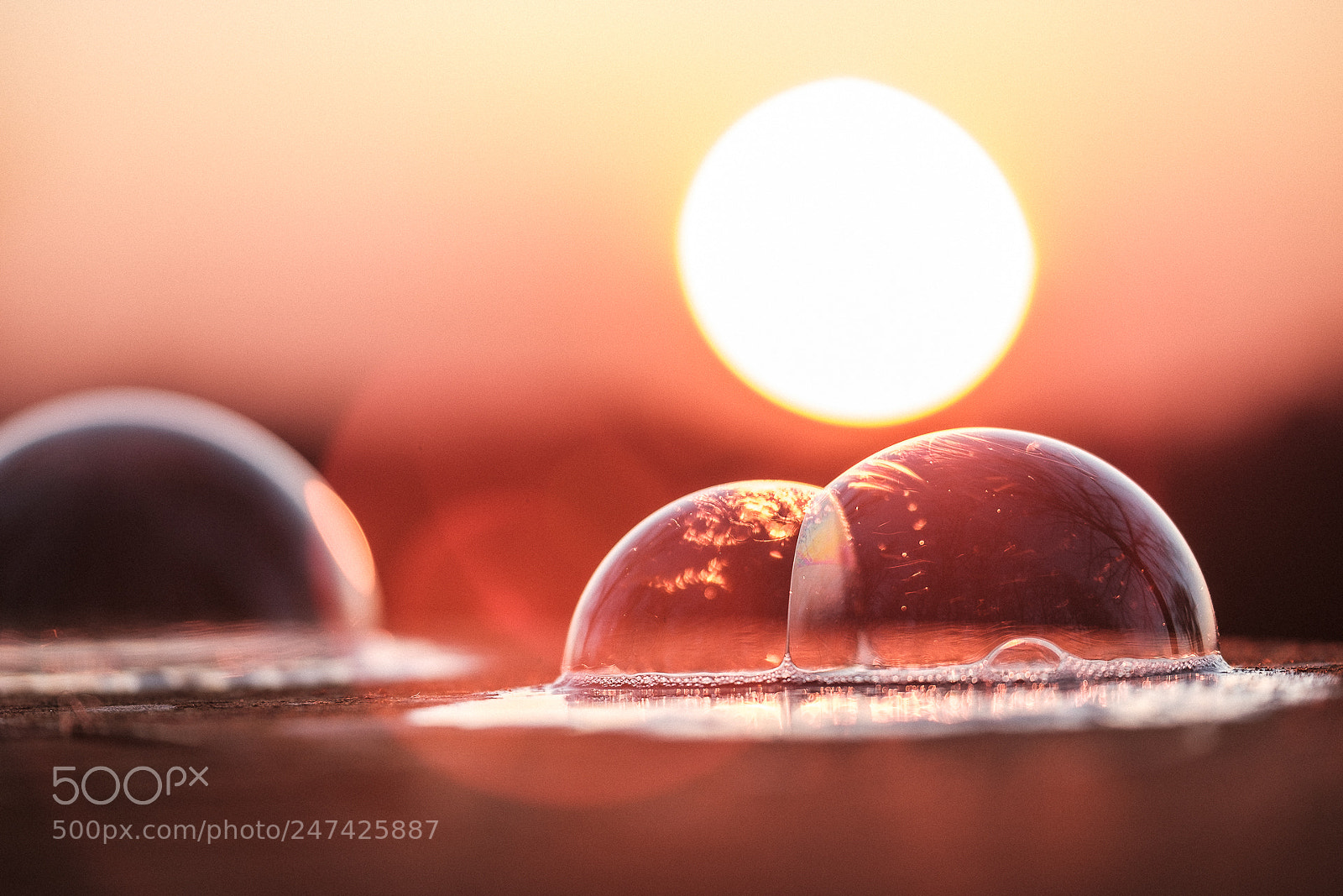Fujifilm X-T2 sample photo. Sundown in a bubble photography