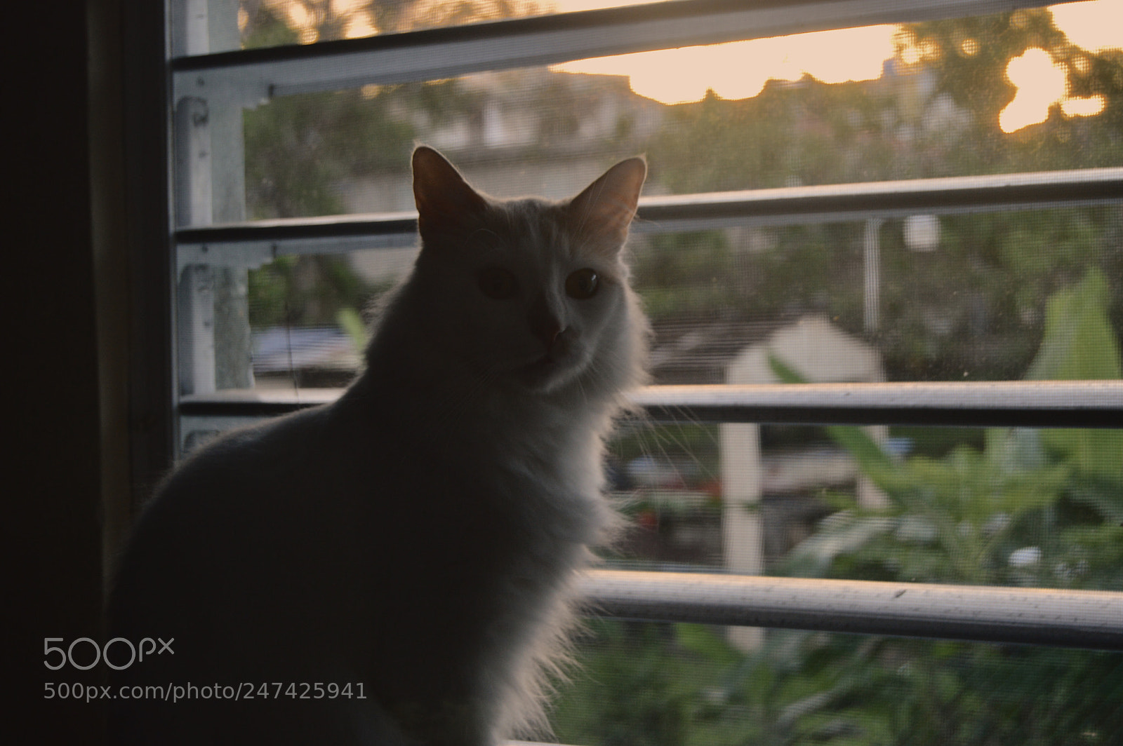 Nikon D3200 sample photo. Untitled photography