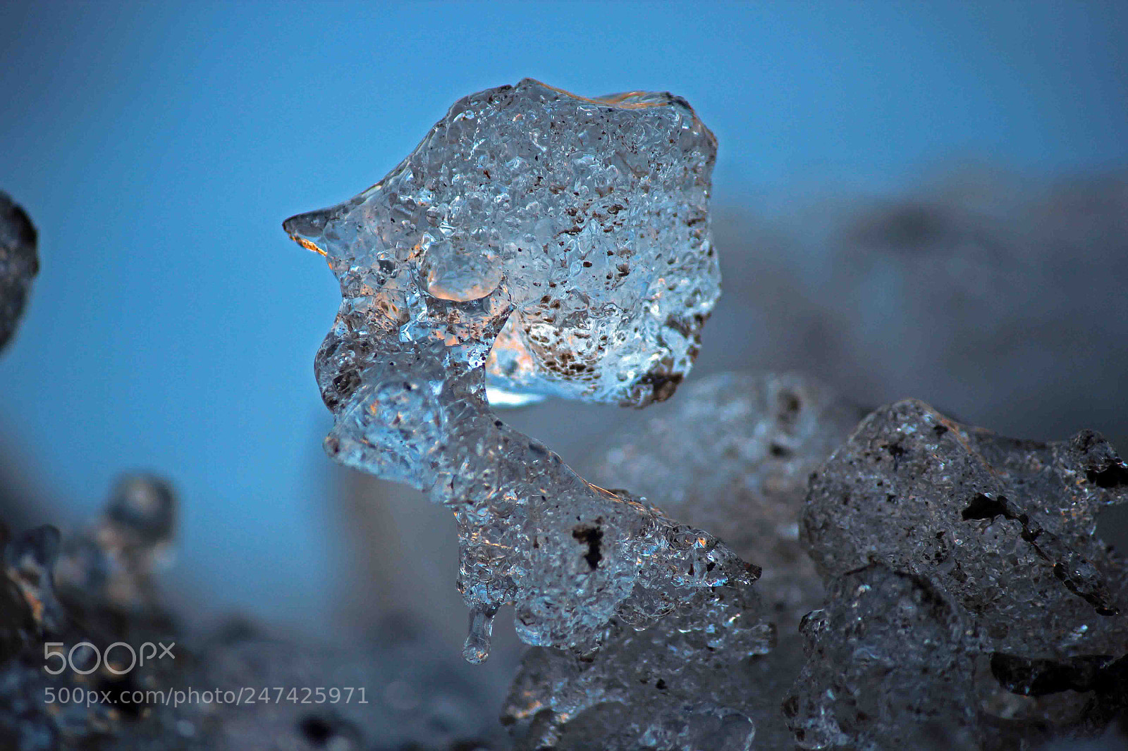 Canon EOS 600D (Rebel EOS T3i / EOS Kiss X5) sample photo. Frozen swiss photography