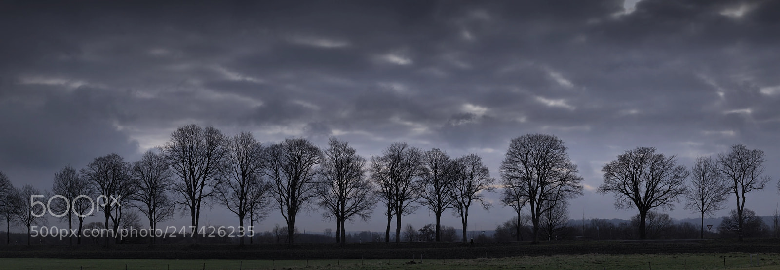 Canon EOS 700D (EOS Rebel T5i / EOS Kiss X7i) sample photo. Longue avenue photography