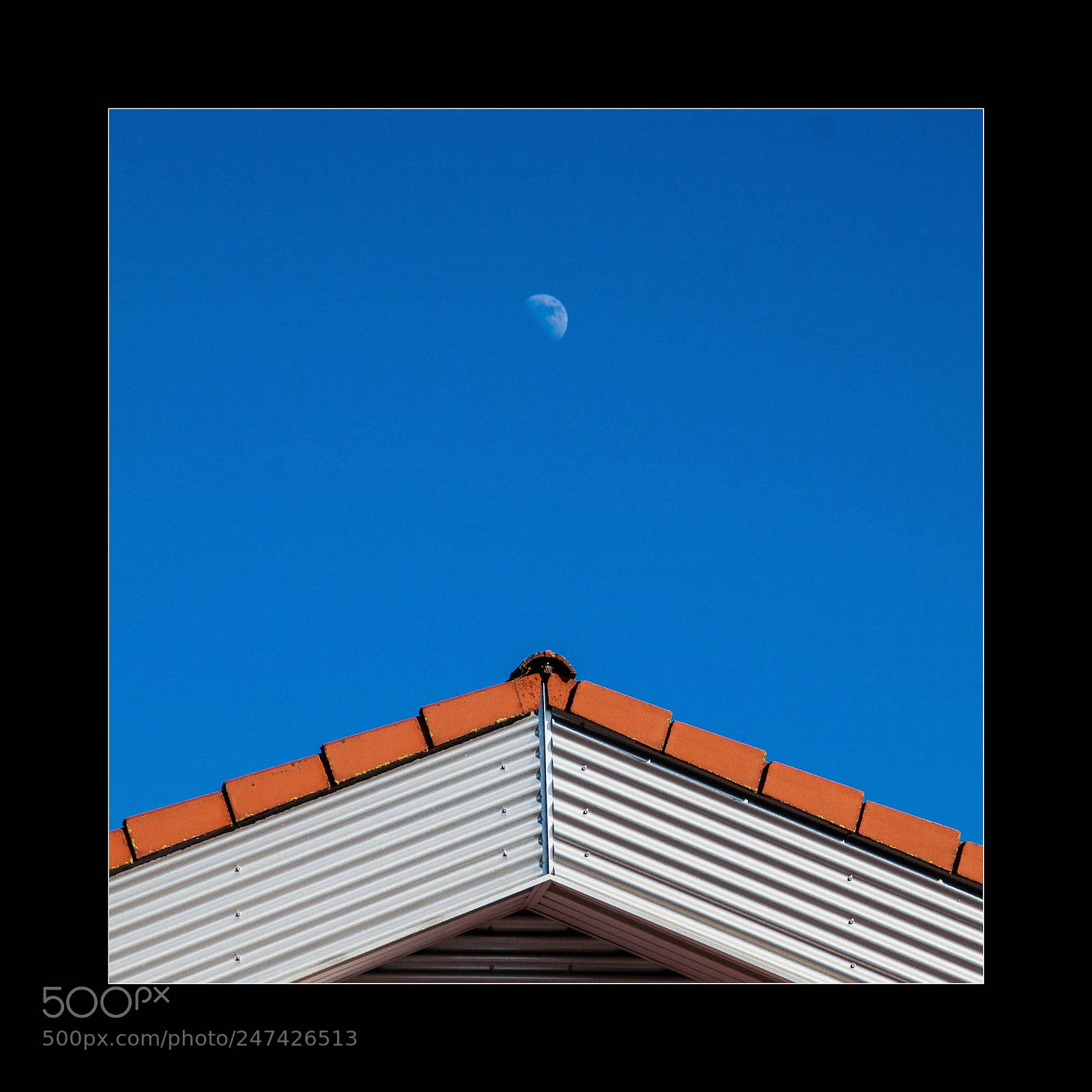Canon EOS 50D sample photo. Focolite# photography