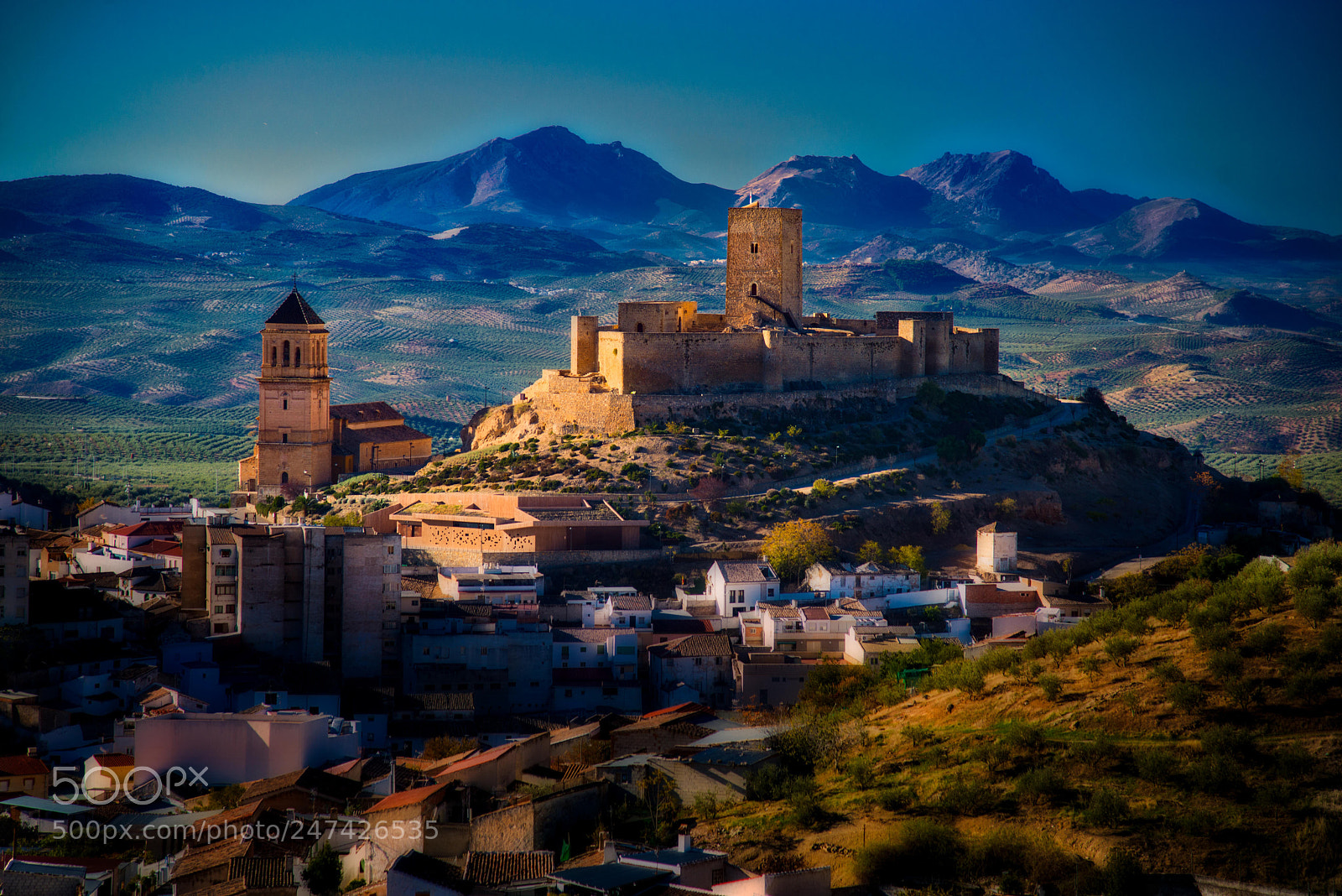 Nikon D800 sample photo. Castillo la mota, alcala photography