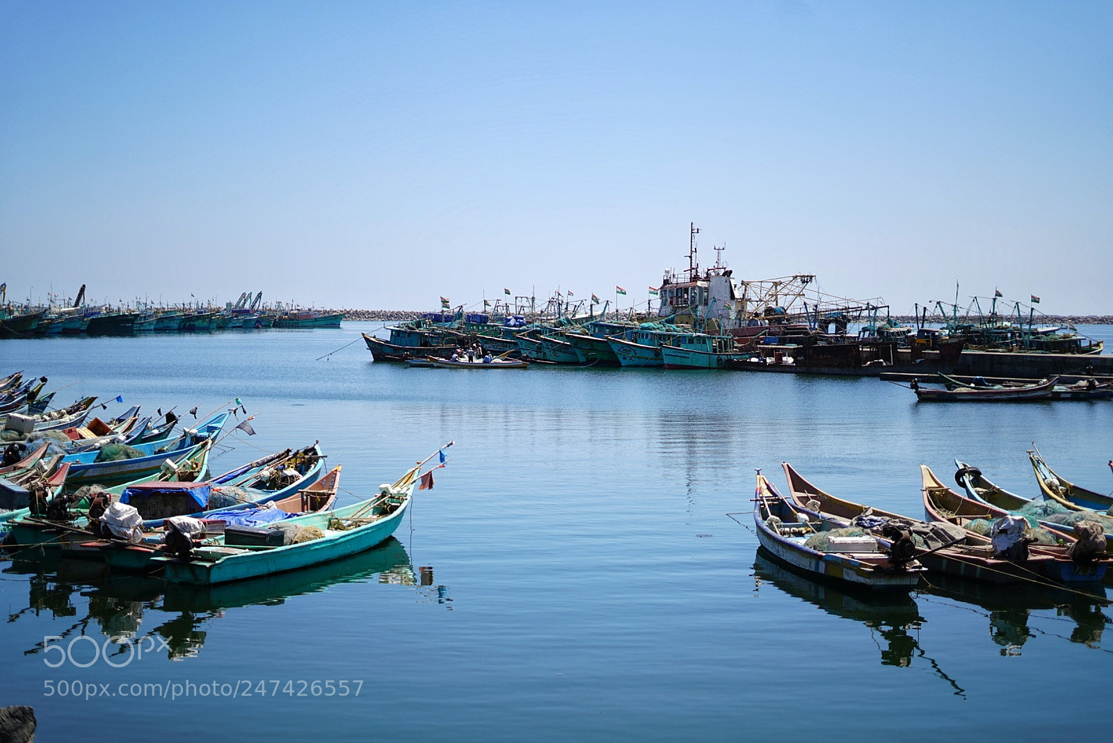 Sony a7R II sample photo. Floating life photography