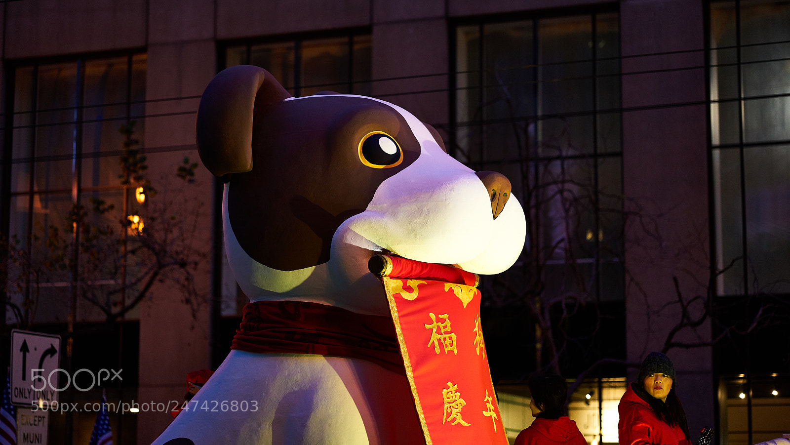Sony a7R II sample photo. Year of the dog photography