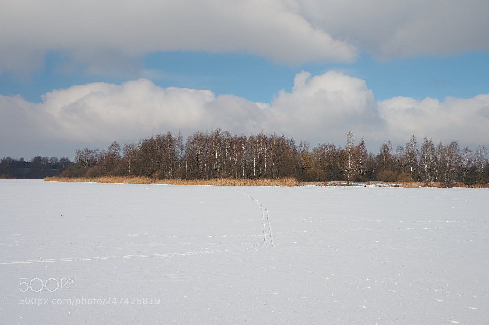 Sony Alpha a5000 (ILCE 5000) sample photo. The beauty of winter photography