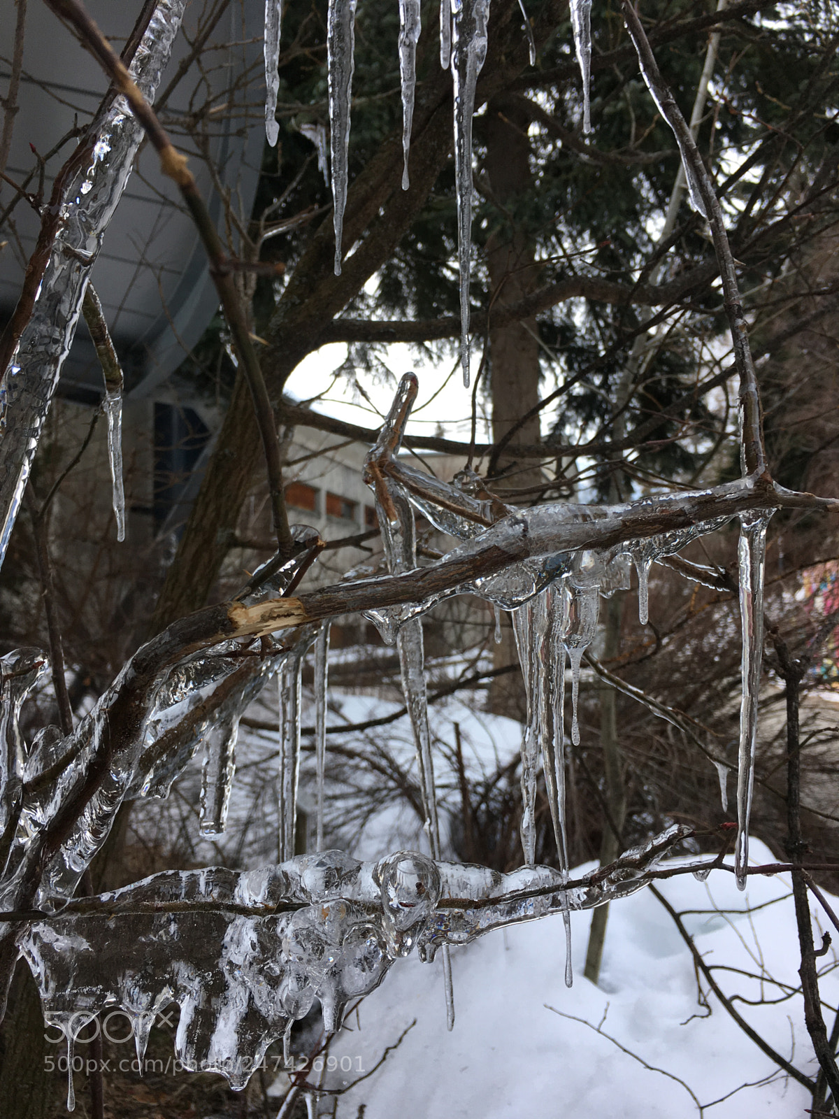 Apple iPhone 6s sample photo. Frozen photography