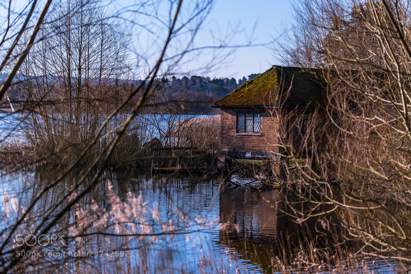 Nikon D850 sample photo. Winter boathouse frensham photography