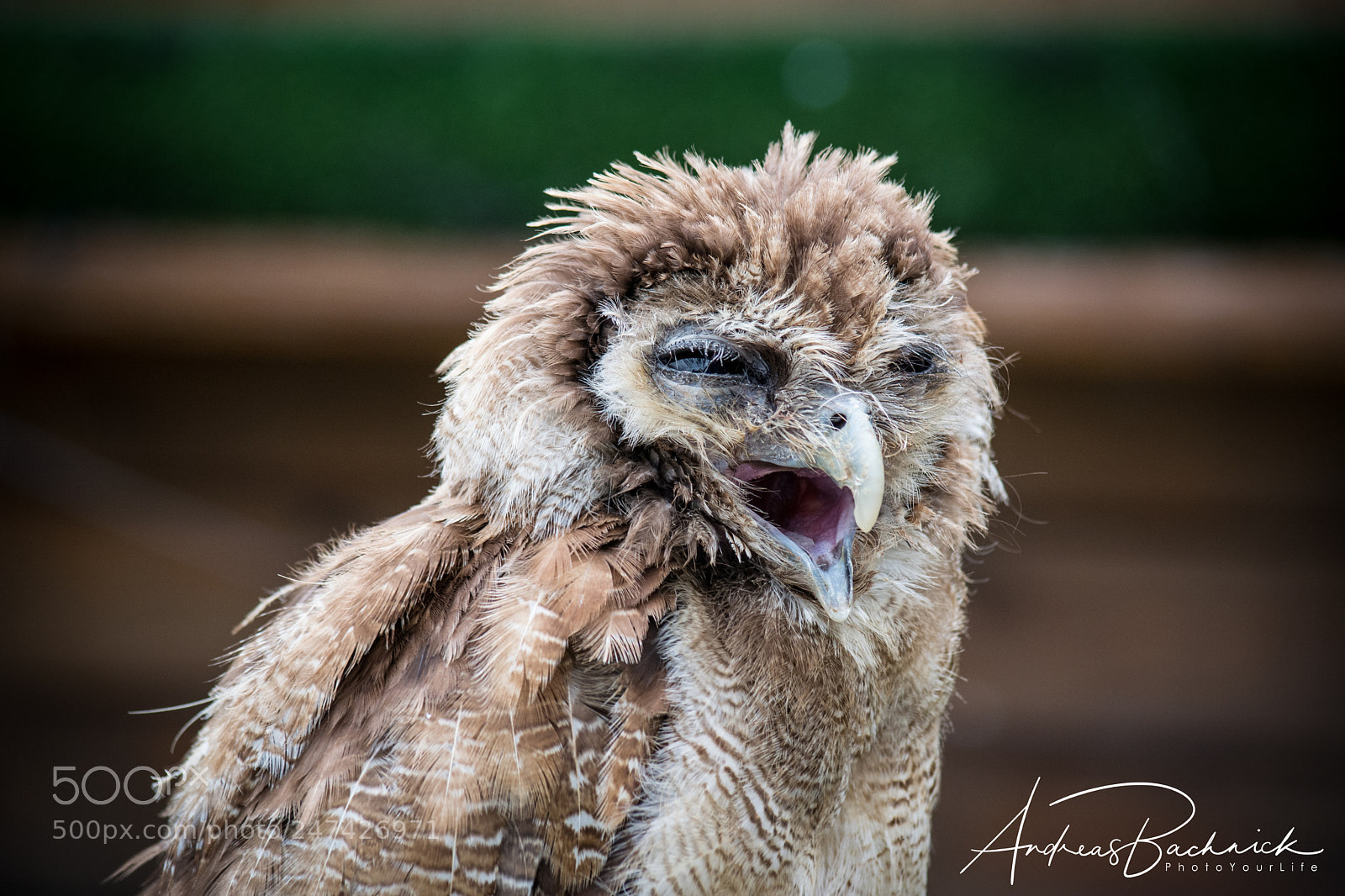 Nikon D5200 sample photo. Typical feelings on a photography