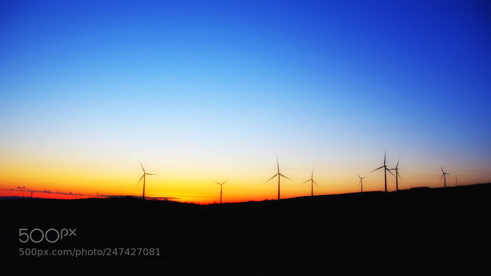 Pentax K10D sample photo. Magic hour photography