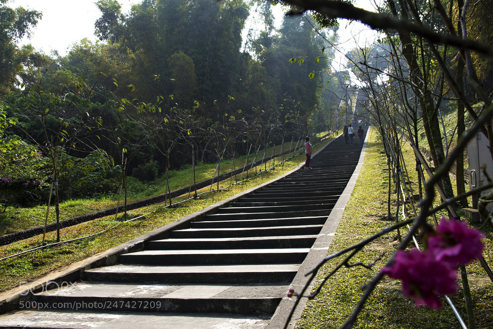 Nikon D7200 sample photo. Untitled photography
