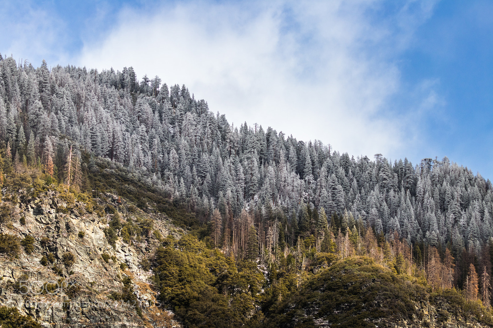 Canon EOS 80D sample photo. Winter layers photography