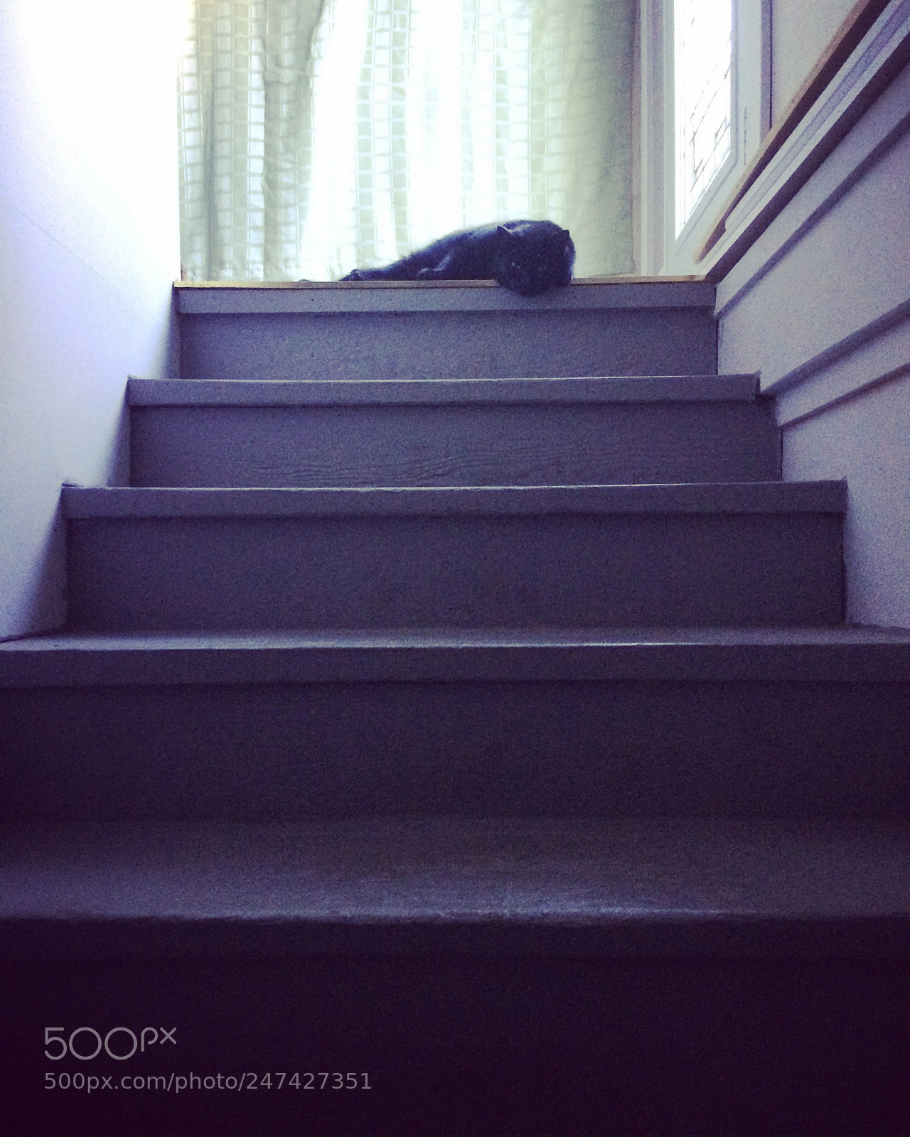 Apple iPhone 5s sample photo. A friend waiting at photography