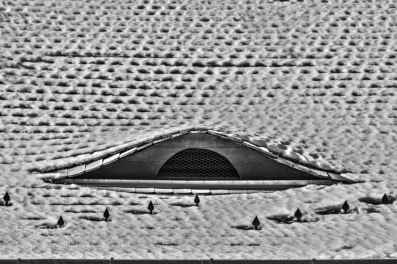 Nikon D7100 sample photo. Untitled photography