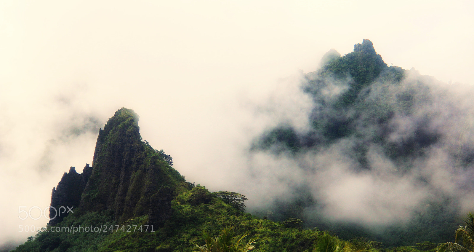 Canon EOS 600D (Rebel EOS T3i / EOS Kiss X5) sample photo. Looning(tahiti) photography