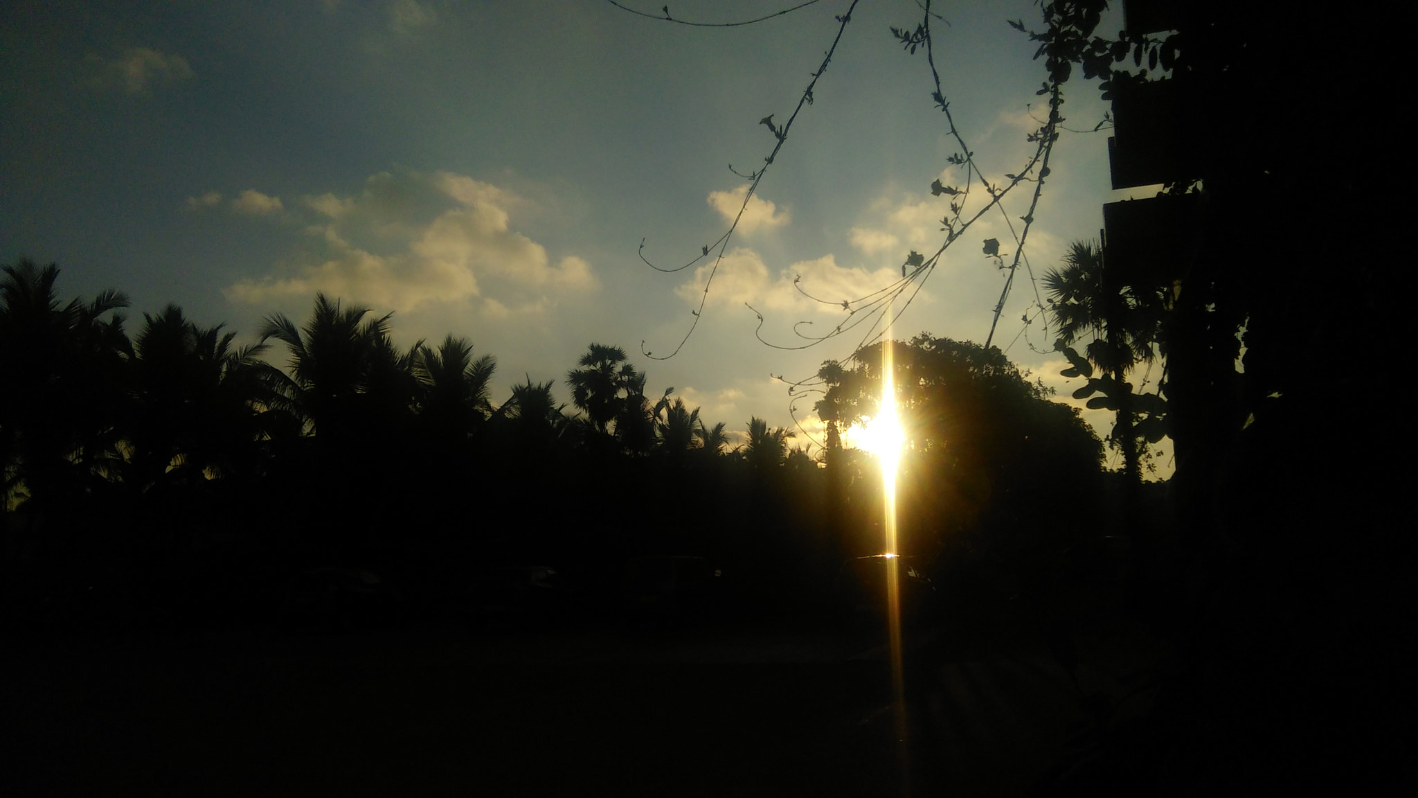 OPPO A33f sample photo. Faded photography