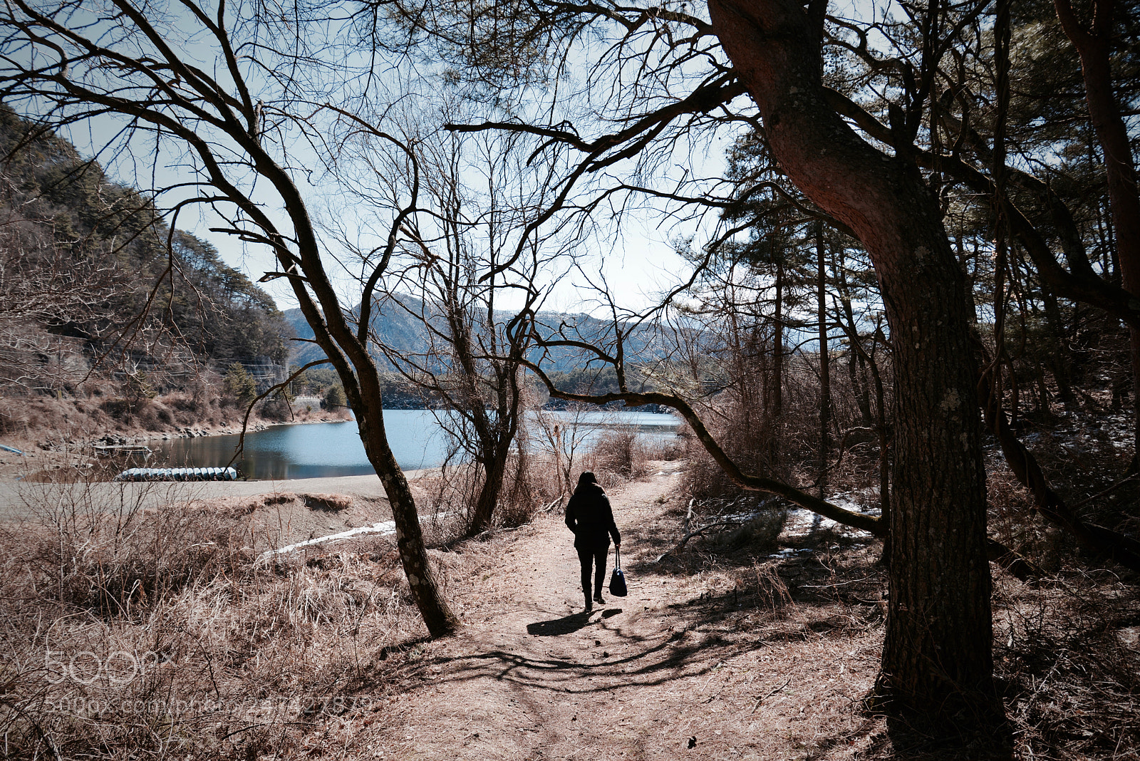 Nikon D600 sample photo. Landscapes photography