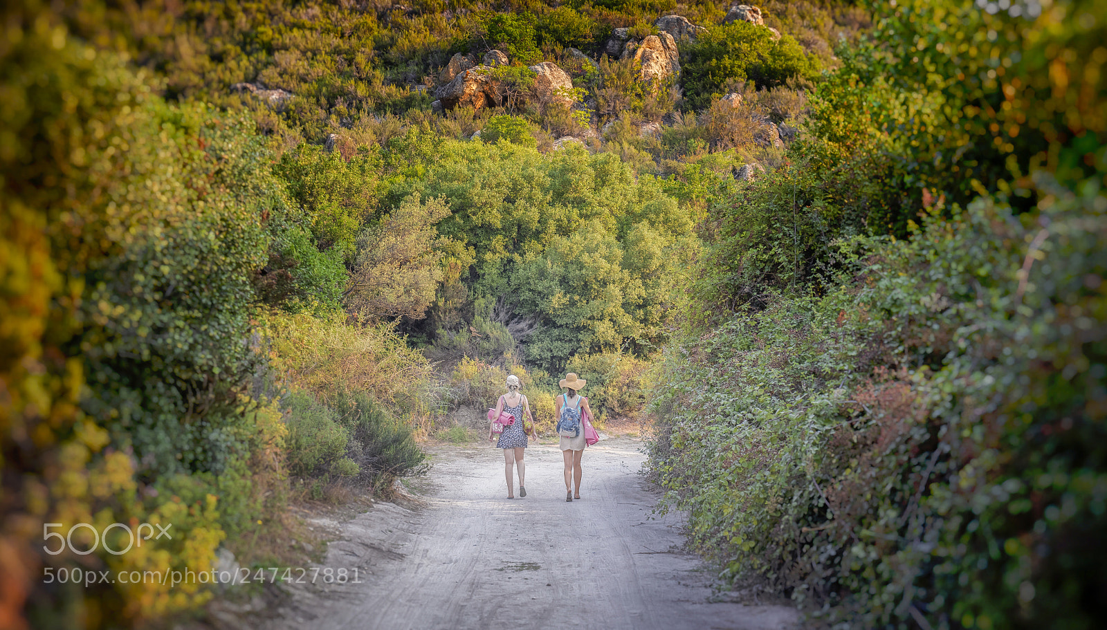 Canon EOS 80D sample photo. Summer road photography