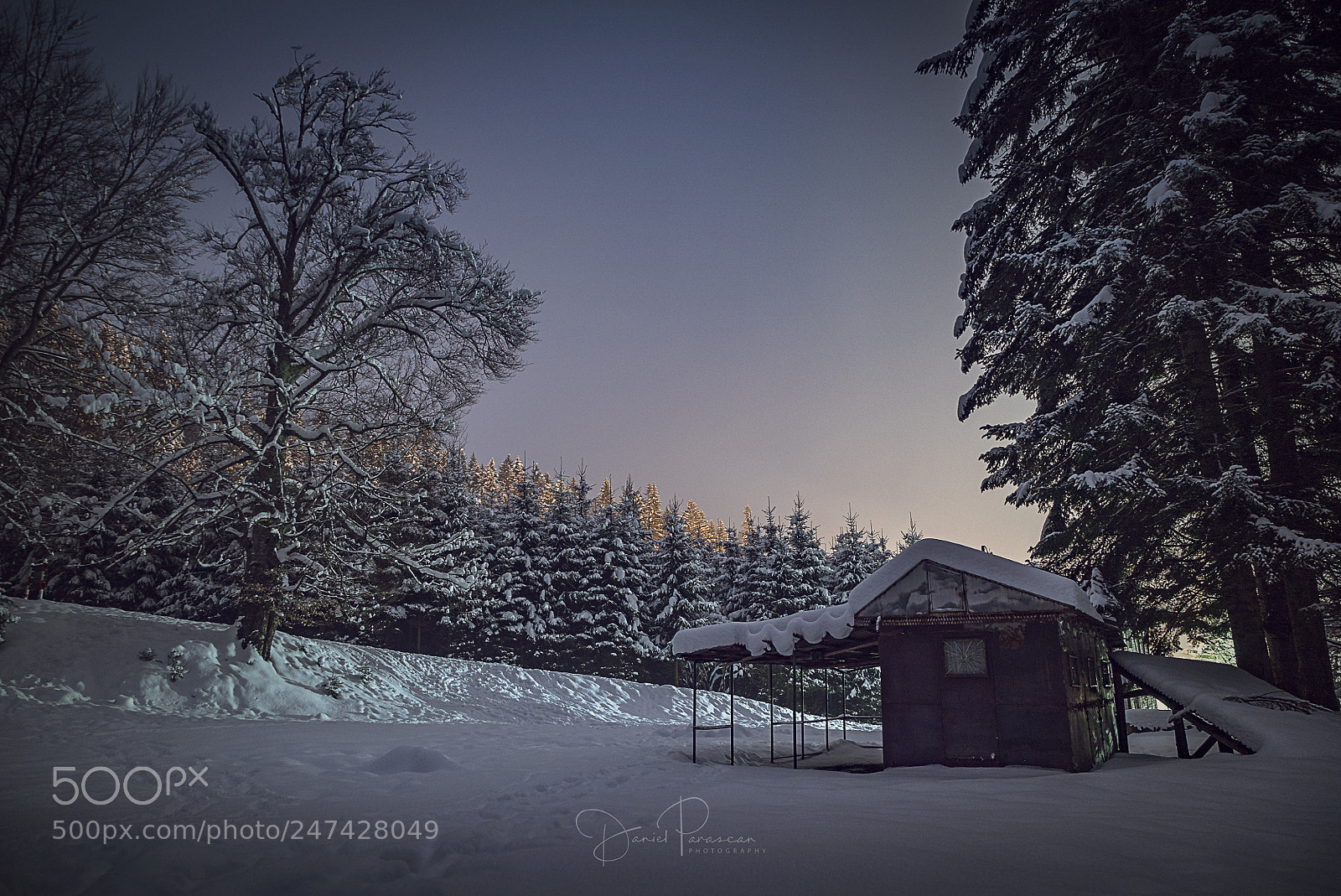 Sony a7S sample photo. Love winter photography