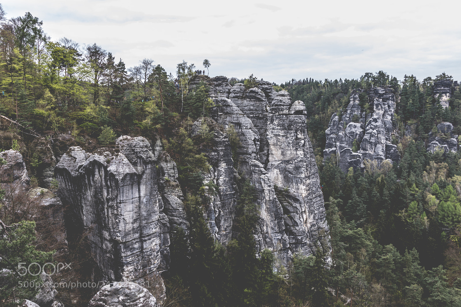 Canon EOS 7D Mark II sample photo. Bastei, elbe sandstone mountains photography