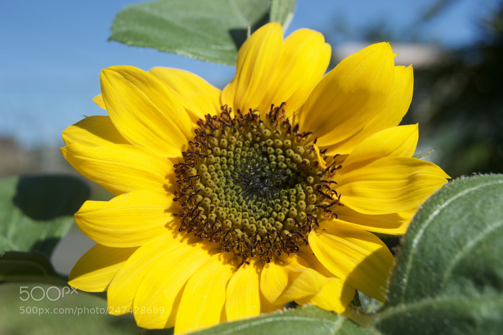 Nikon D3200 sample photo. Untitled photography