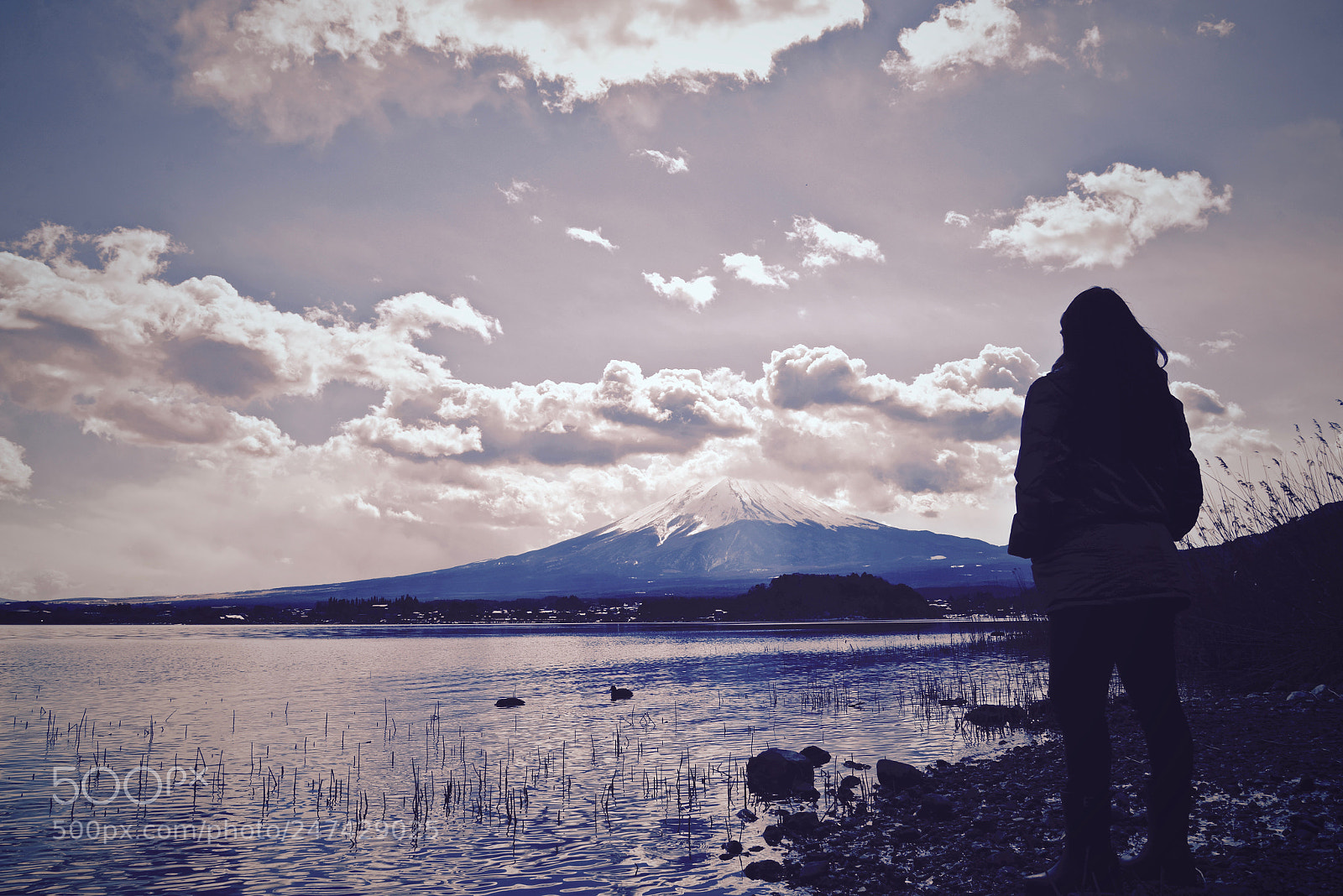 Nikon D600 sample photo. Landscapes photography