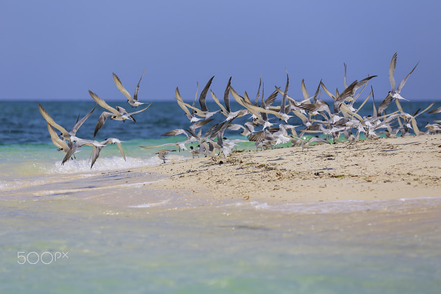 Search 500px The World S Premier Photography Community 500px