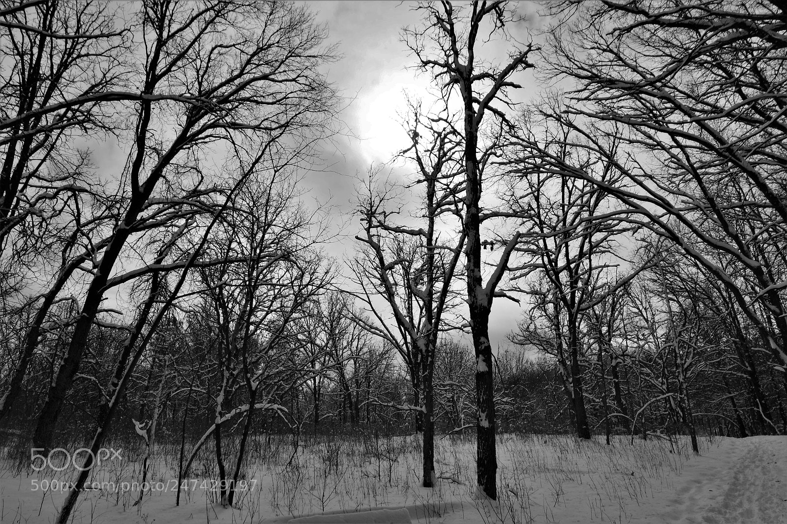 Pentax K-70 sample photo. Morning after a good photography