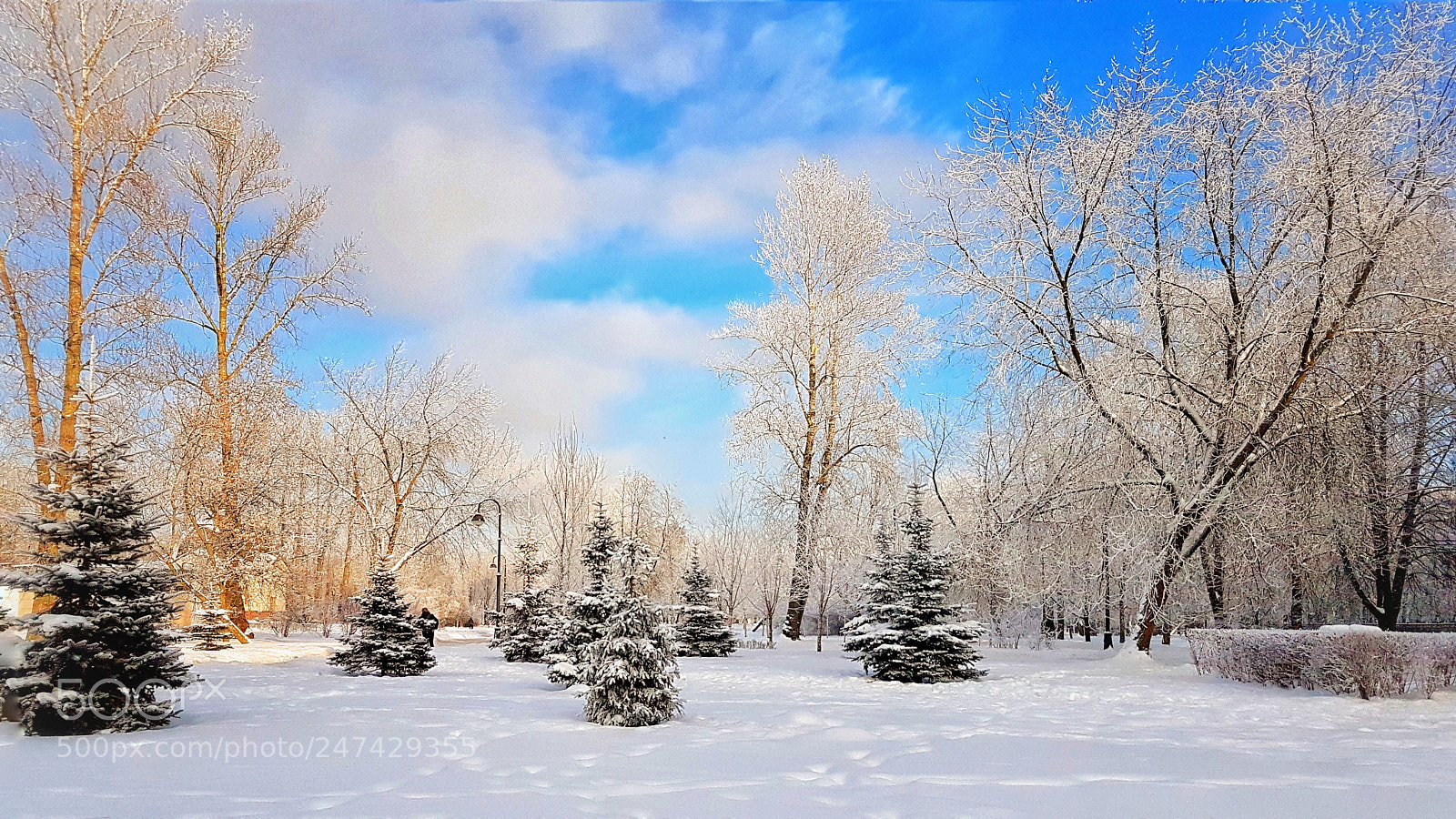 Samsung Galaxy S7 Edge sample photo. Winter scenery photography