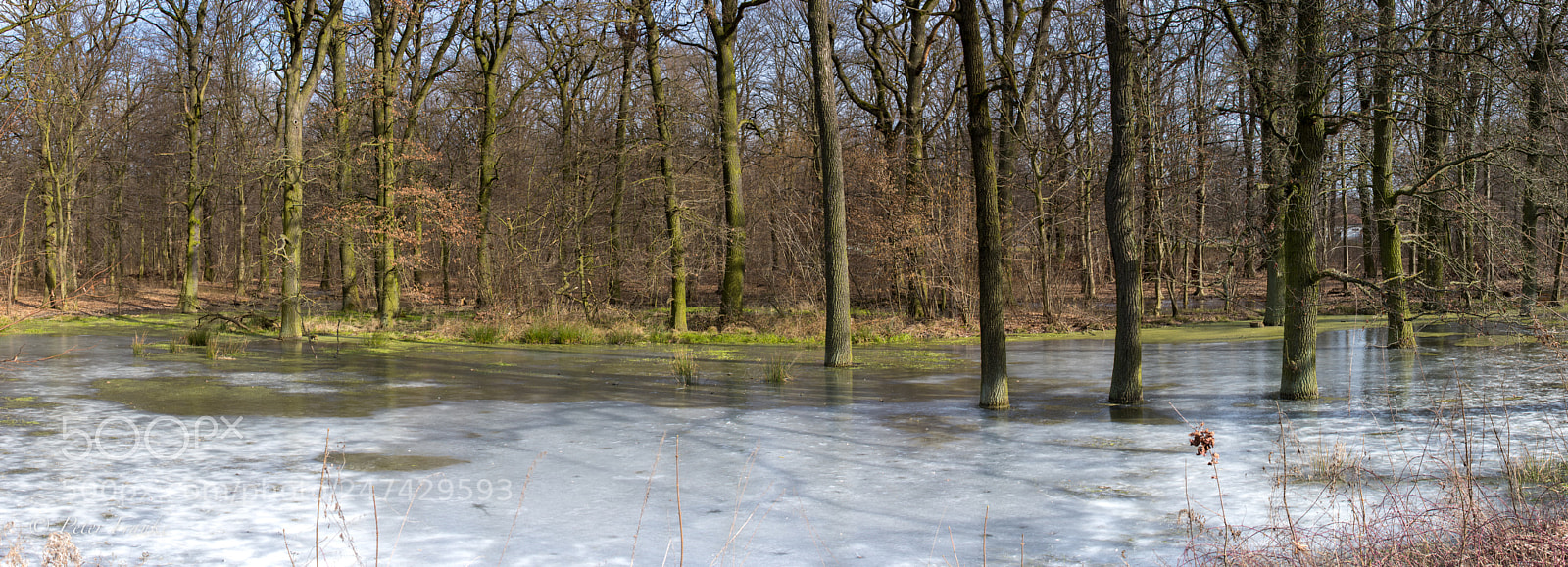 Canon EOS 7D Mark II sample photo. Frozen water photography