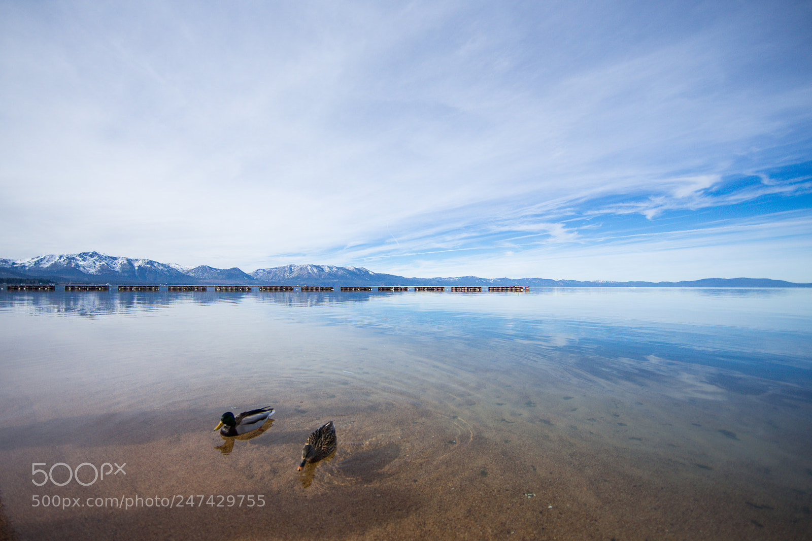 Canon EOS-1D X sample photo. Lake tahoe photography