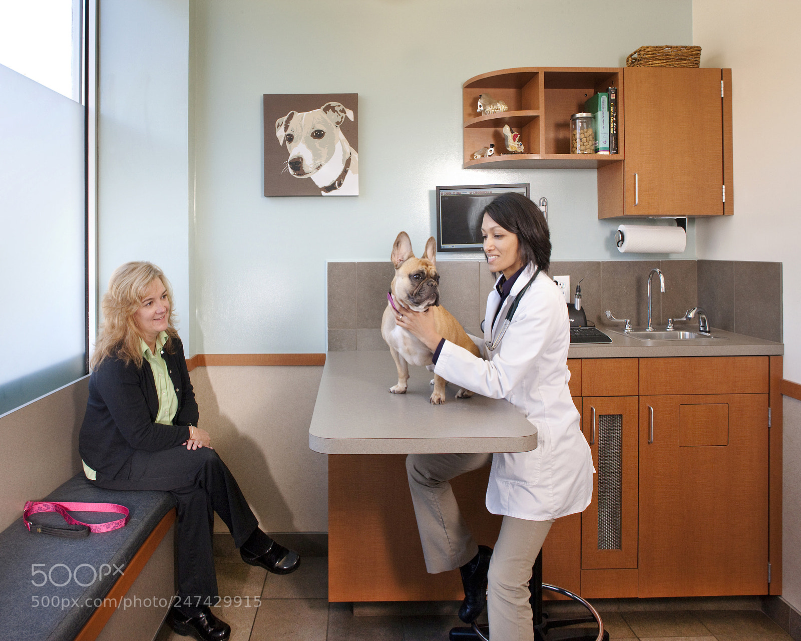 Canon EOS-1Ds Mark III sample photo. Looking for a veterinary photography