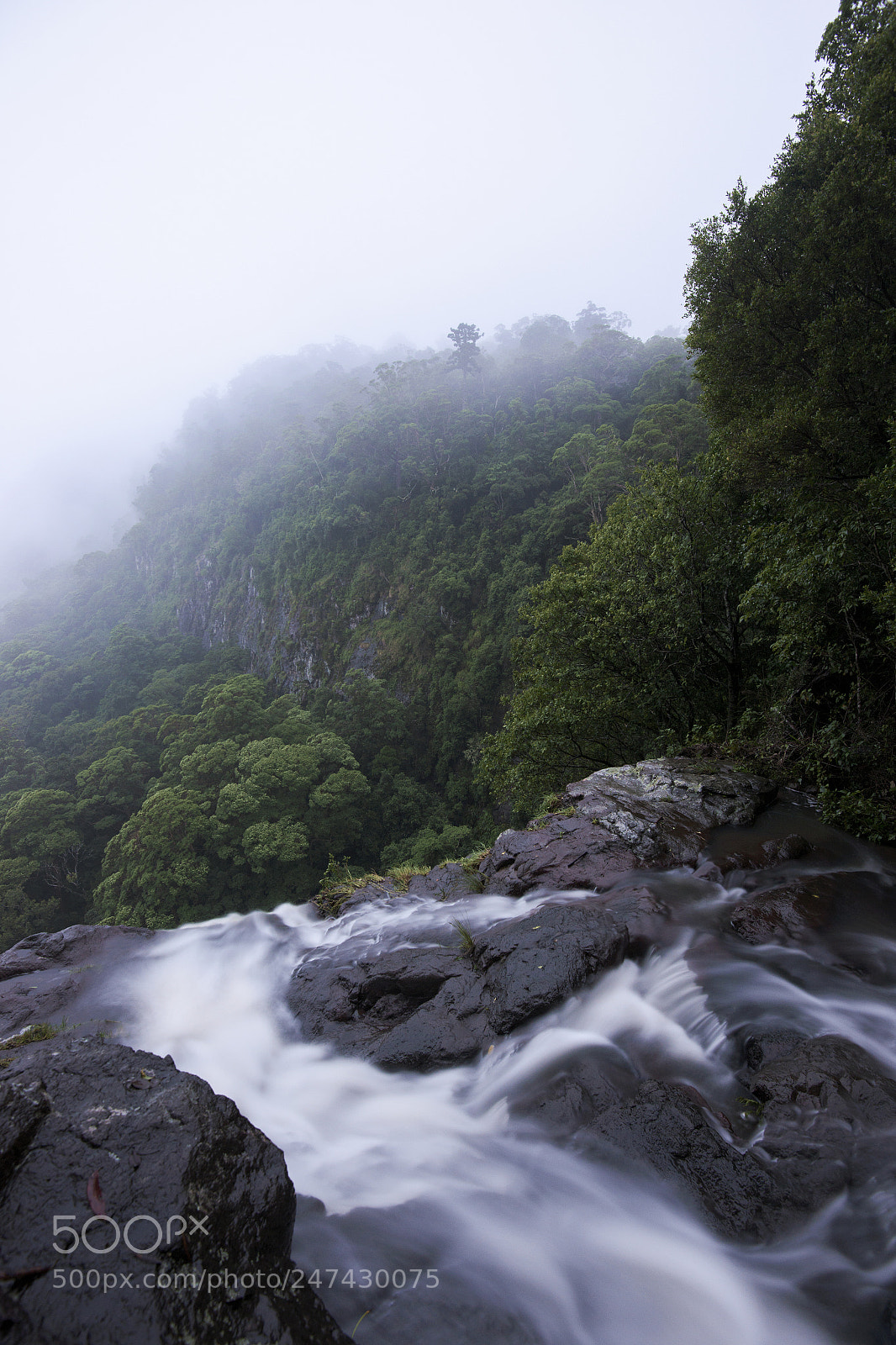 Nikon D800 sample photo. Morans falls in tamborine photography