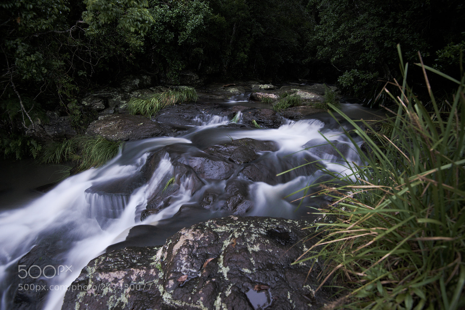 Nikon D800 sample photo. Morans falls in tamborine photography