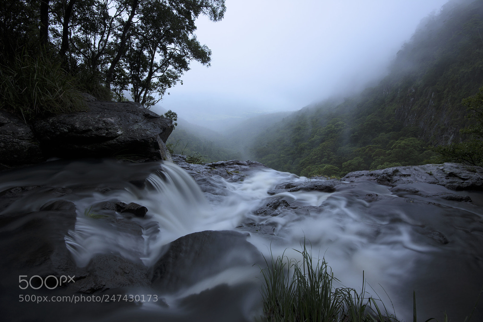 Nikon D800 sample photo. Morans falls in tamborine photography