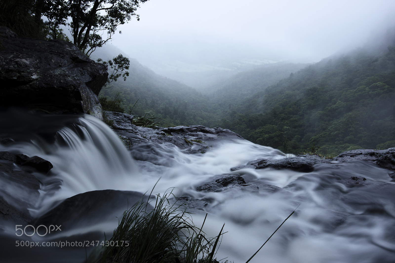 Nikon D800 sample photo. Morans falls in tamborine photography